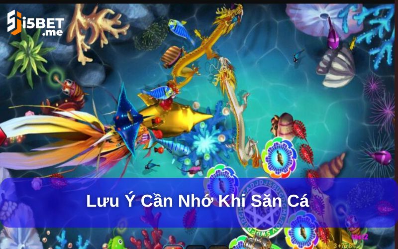 Cẩm Nang Săn Cá Dành Cho Người Mới - Hướng Dẫn Chi Tiết Lưu ý cần nhớ khi săn cá
