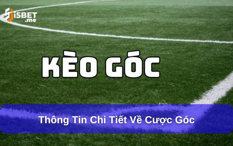 Cược Xiên, Cược Rung, Cược Góc Là Gì? Kinh Nghiệm Cược Hiệu Quả Thông tin chi tiết về cược góc